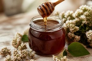 Miel de sarrasin bienfait : les vertus de ce miel naturel